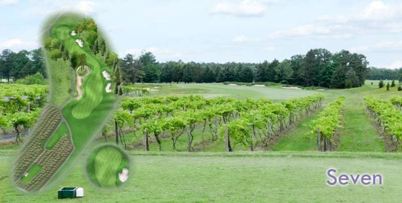 The Vineyards at its best - a visually exciting right-to-left hole that emphasizes strategy. There is no correct way to play this hole, but taming it requires awareness of yardage, proper club selection and precise execution of shots. Spectacular views abound from the floating tees overlooking vineyards, ponds and rolling terrain.
